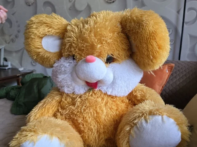 Фото: Продам б/у игрушку. Состояние отличное. 500 руб. Донецк, Макеевка