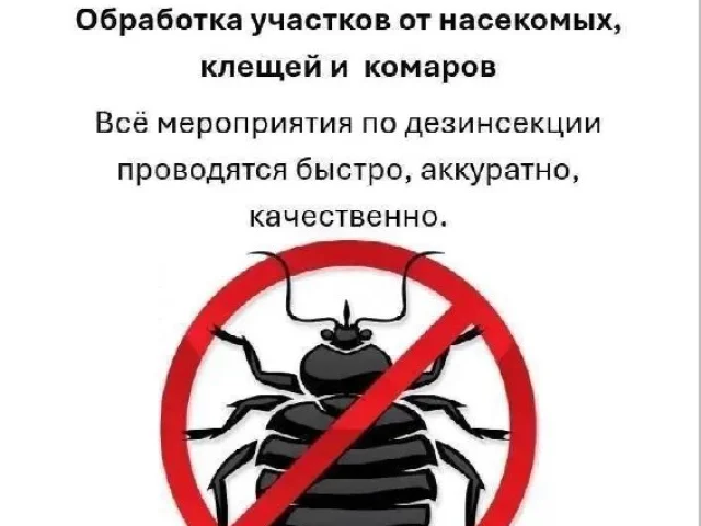 Фото: ДЕЗИНСЕКЦИЯ • ДЕЗИНФЕКЦИЯ • ДЕРАТИЗАЦИЯ