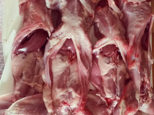 Фото: В продаже мясо кролика! Забой в день вашего заказа. Цена 800 рублей за килограмм. Кролики молодые, вес тушки в пределах