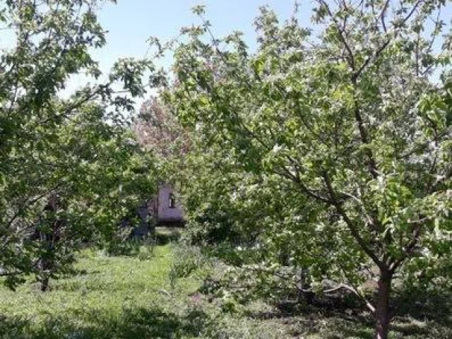Фото: Продам дом в селе Македоновка. 18 км от Мариуполя. 2 комнаты. Во дворе гараж, хозпостройки, колодец. Газ проходит возле 