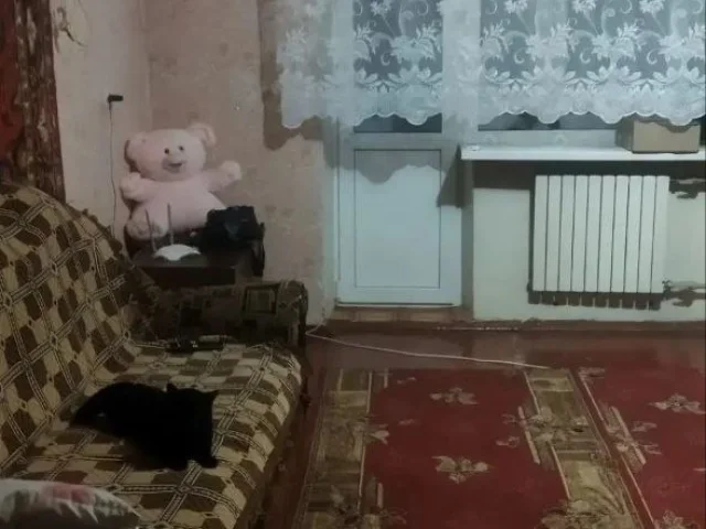 Фото: Продажа 2х. Комн