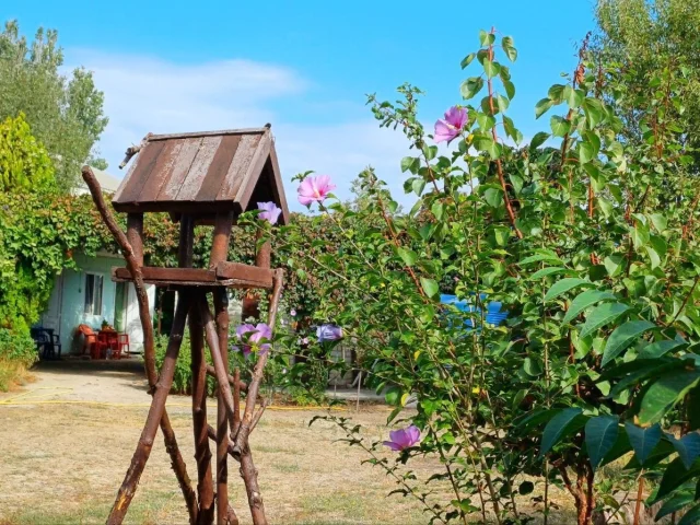 Фото: СДАМ ЖИЛЬЁ 🏠 на всё лето 🌸 в Кирилловке, самый центр, в 3 мин.от моря 🌊 🏖
