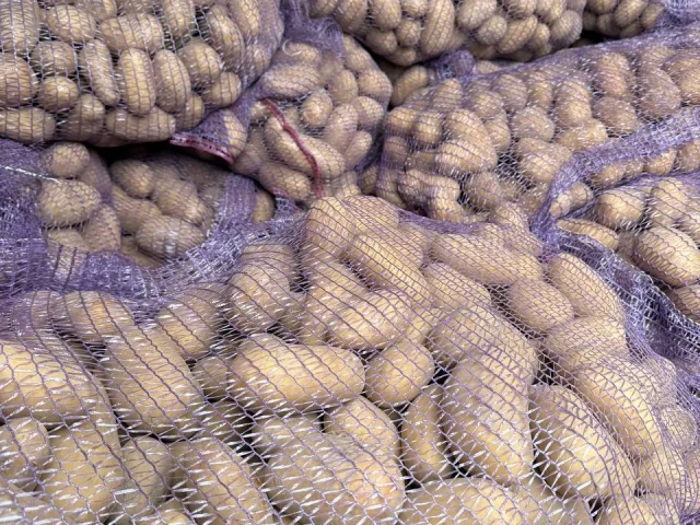 Фото: Продам картофель 🥔