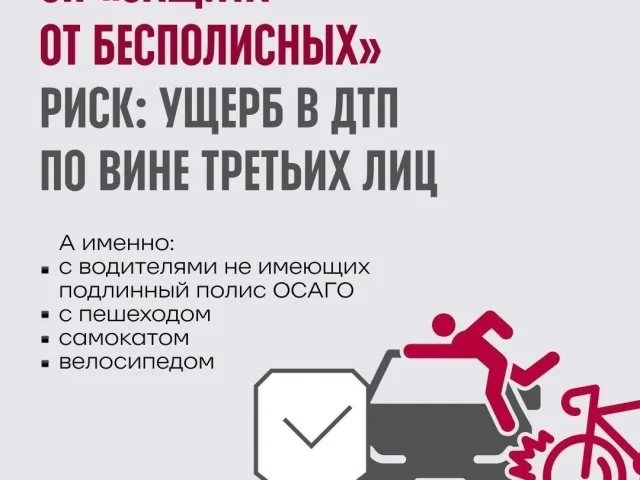 Фото: «Защита от бесполисных»