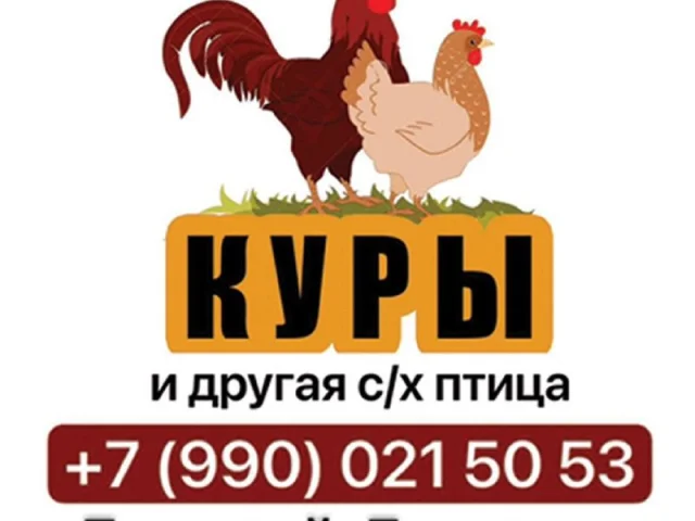 Фото: 📱 МЕЛИТОПОЛЬ