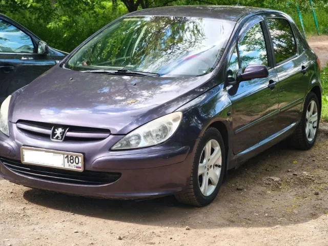 Фото: Peugeot 307