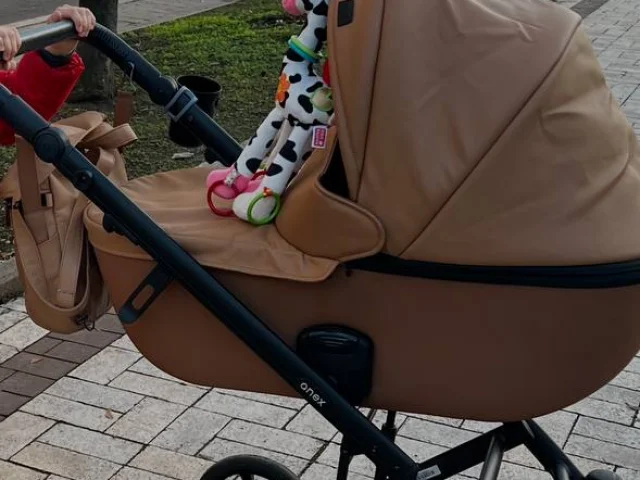 Фото: Коляска 3 в 1 Anex e type эко кожа рыжего цвета
