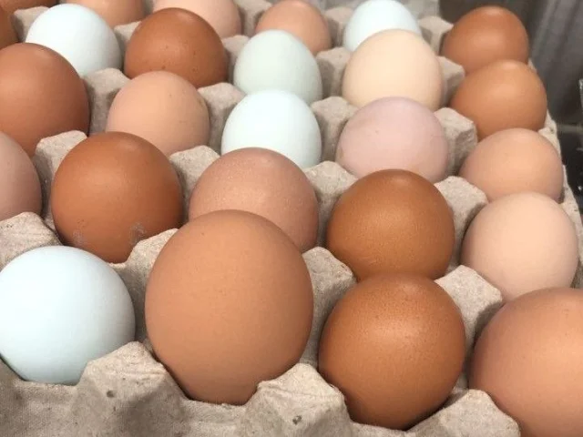 Фото: Продам домашние свежие яйца. Цена 130₽ за десяток. Есть доставка Энергодар. Связи нет, пишите в личку телеграм. Тел