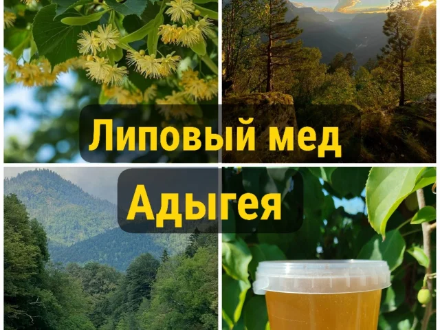 Фото: Предлагаю чистый липовый мед, привозим из республики Адыгея, пасека стояла на горной липе