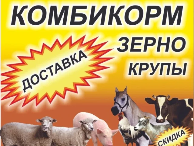 Фото: Предлагаем Вашему вниманию зерновые культуры и комбикорма! Цены от 1 тонны