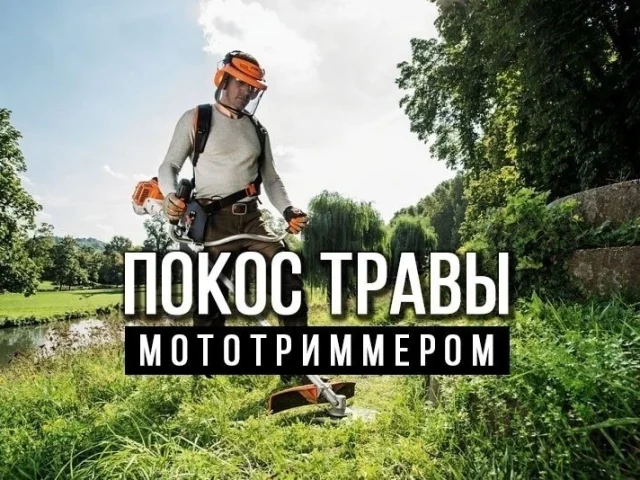 Фото: ❗️❗️ ПОКОС ТРАВЫ ❗️❗️