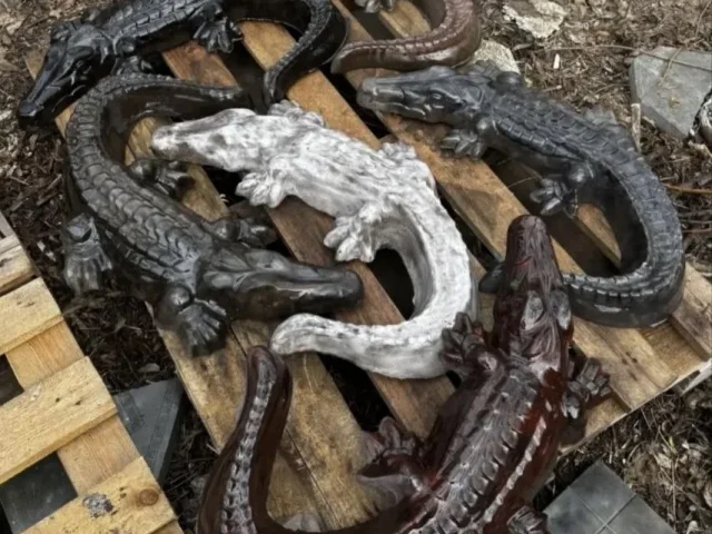 Фото: 🐊: 2000p