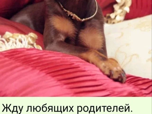 Фото: Мелитополь
