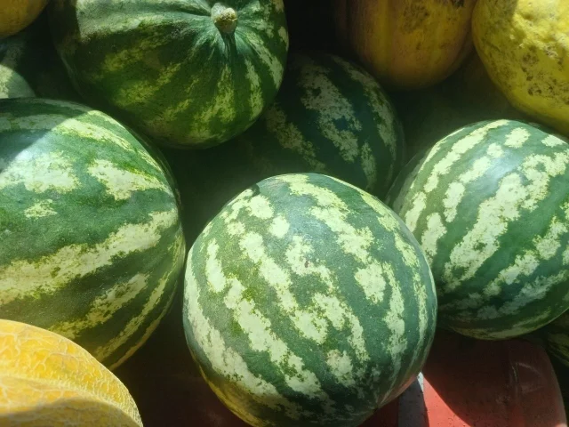 Фото: 🍉 АРБУЗ с поля 10 р/кг (от 1 тонны)