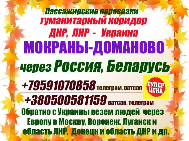 Фото: 🧡0️⃣🧡🧡🧡🧡🧡  🧡9️⃣ 🧡🧡🧡🧡🧡🧡🧡❗️❗️❗️     .             9 октября    едем в  Украину через гуманитарный коридор