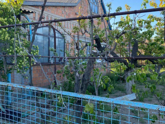 Фото: 🏡 Продается уютный дом в селе Данило-Ивановка