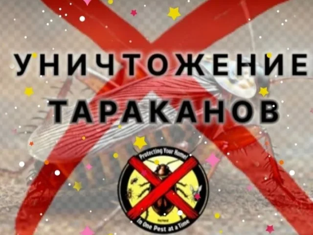 Фото: Обработка жилых помещений от насекомых