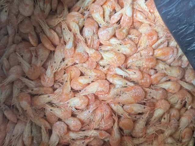 Фото: Продам азовскую креветку,вся икряная, вкусно сварена.700 руб/кг.Только пакетами по 6 кг