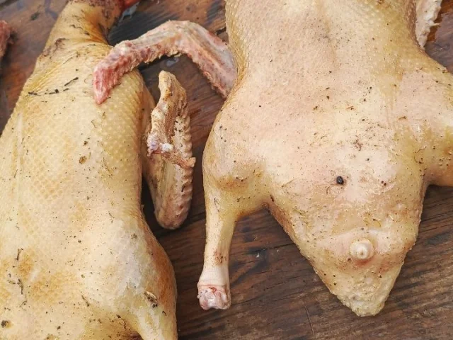 Фото: Продам мясо домашней белой утки.Тушка 650р/кг. Утка горячего копчения 1000р/кг. Копчености в наличии и под заказ. Копчен