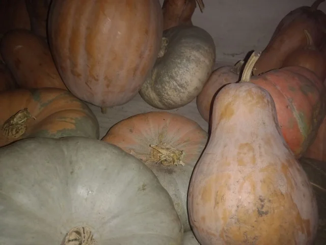 Фото: Продаются излишки