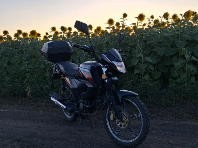 Фото: родам Alpha RS12 (125сс)