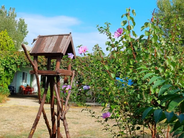 Фото: Сдам помесячно/ посуточно жильё 🏡 в самом центре пгт.Кирилловка🌸🌸🌸 частный сектор, к морю 3 мин.ходьбы 🏖🏊‍♀ Предусмотрен
