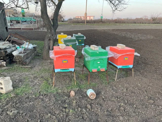 Фото: Продам улья «Пеноулик» на 10 рамок 300. В наличии 10 штук. Цена 3500. Магазинные надставки «Пеноулик» на 10 рамок 145. В