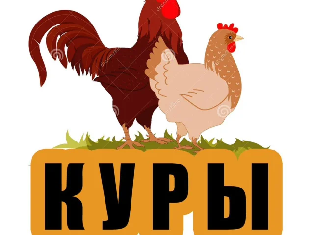 Фото: 📱 МЕЛИТОПОЛЬ, доставка по городу и пригороду
