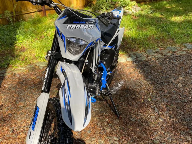 Фото: Ендуро PROGASI CB-250F
