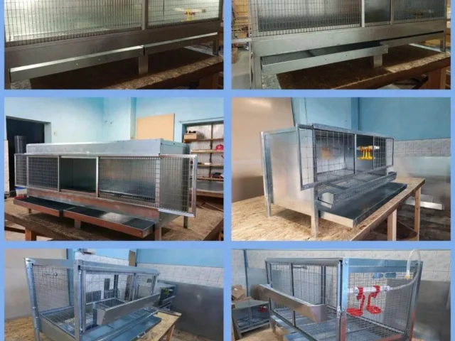 Фото: ✅ Клетки для кур-несушек, перепелов, бройлеров 
