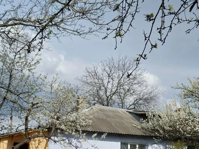 Фото: Продам квартиру на земле