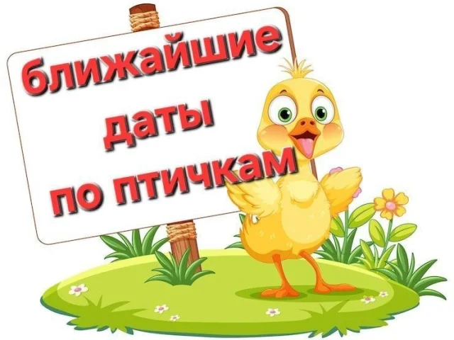 Фото: ❗️16 ИЮНЯ