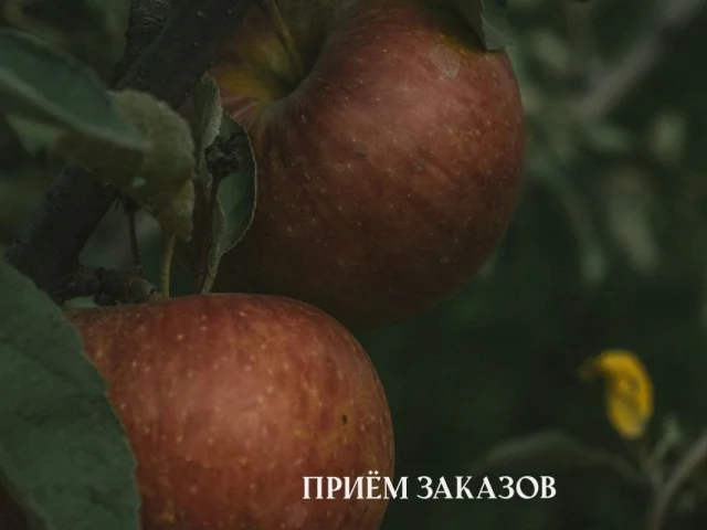 Фото: УВАЖАЕМЫЕ САДОВОДЫ🧑‍🌾