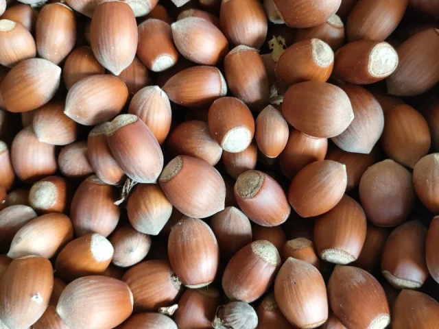 Фото: Продам орех, урожай 2025года.Цена за 1 кг= 350₽.Самовывоз Макеевка. .Пишите ЛС. Звоните
