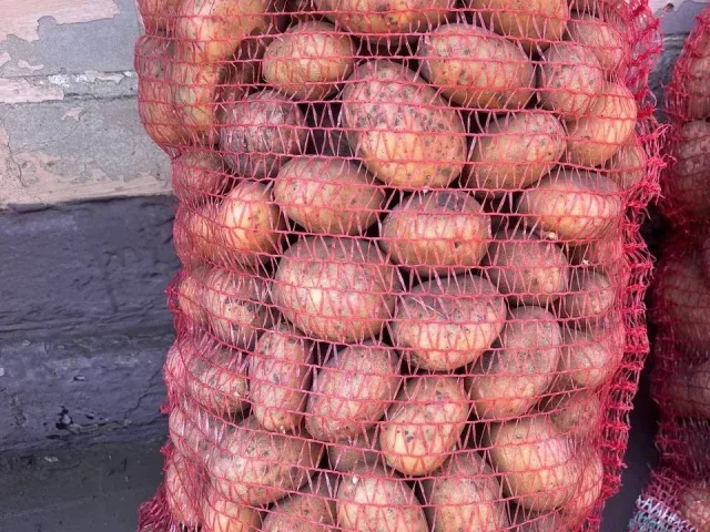 Фото: 🔥ПРОДАМ🔥