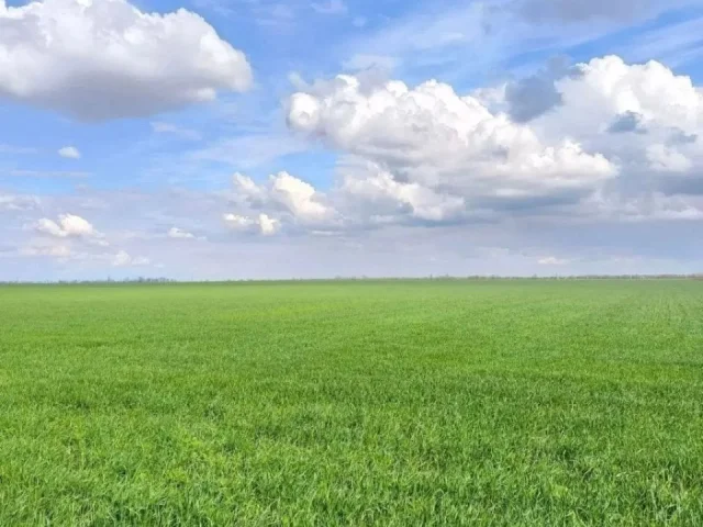 Фото: ❗️❗️❗️Цена снижена❗️❗️❗️