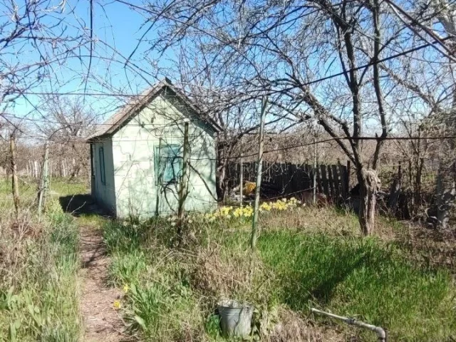 Фото: Мариуполь
