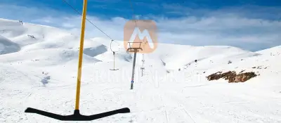Бугельные подъёмники LEITNER