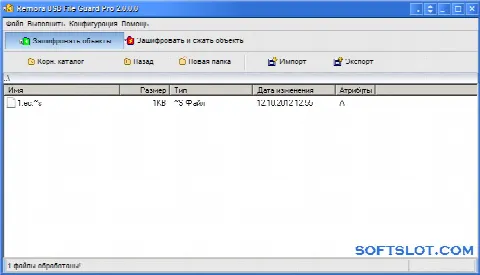 Скриншот №1 к программе Remora USB File Guard