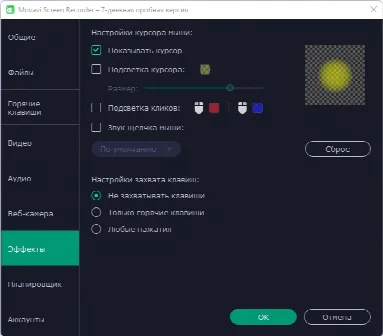 Скриншот №5 к программе Movavi Screen Capture Studio