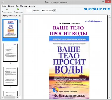 Скриншот №1 к программе Evince Document Viewer