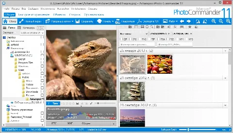 Скриншот №1 к программе Ashampoo Photo Commander