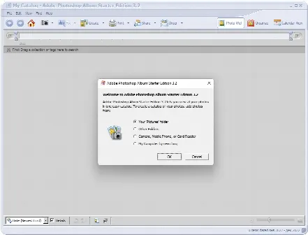 Скриншот №1 к программе Adobe Photoshop Album Starter Edition