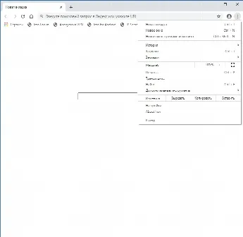 Скриншот №1 к программе SRWare Iron