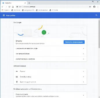Скриншот №2 к программе SRWare Iron