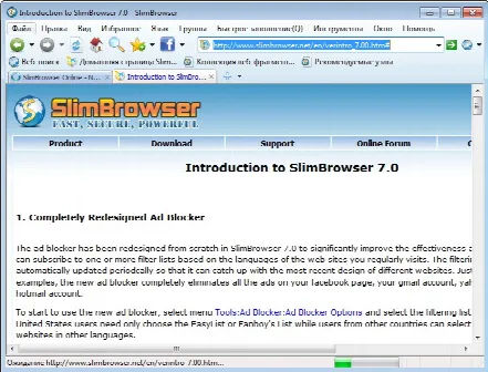 Скриншот №1 к программе SlimBrowser