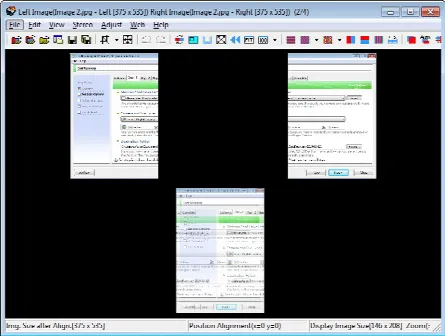 Скриншот №1 к программе StereoPhoto Maker