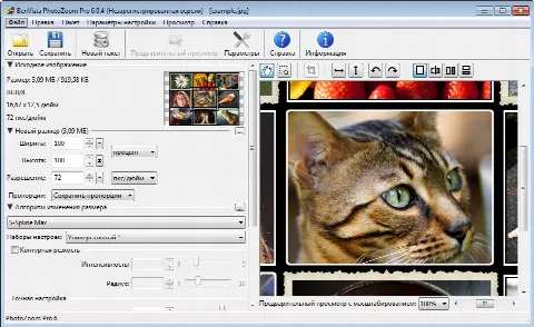 Скриншот №1 к программе BenVista PhotoZoom Pro