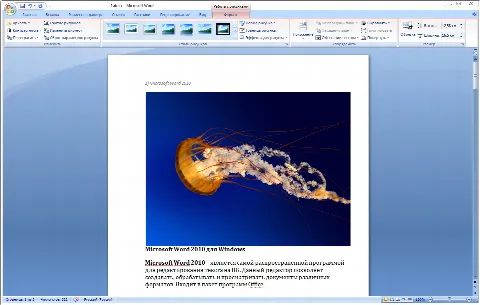 Скриншот №2 к программе Microsoft Word
