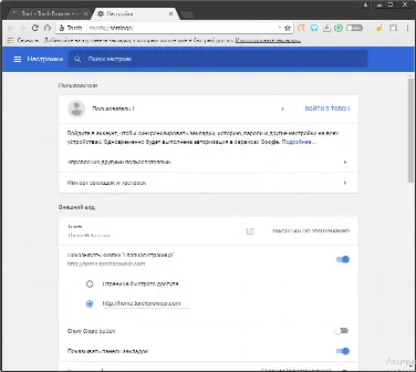 Скриншот №3 к программе Torch Browser